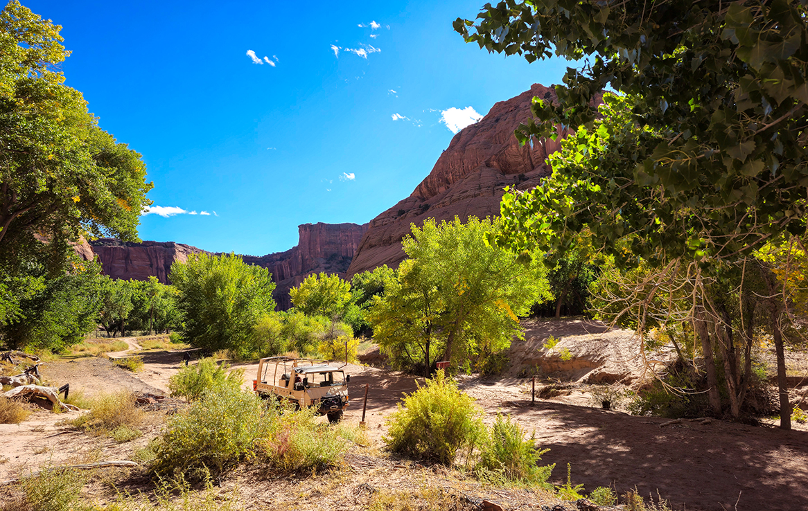 Canyon de Chelly (Canyon del Muerto)