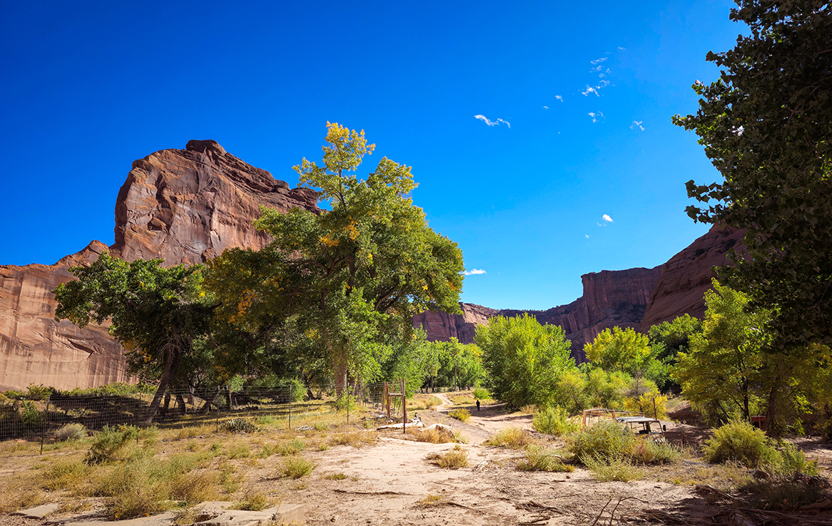 Canyon de Chelly (Canyon del Muerto)