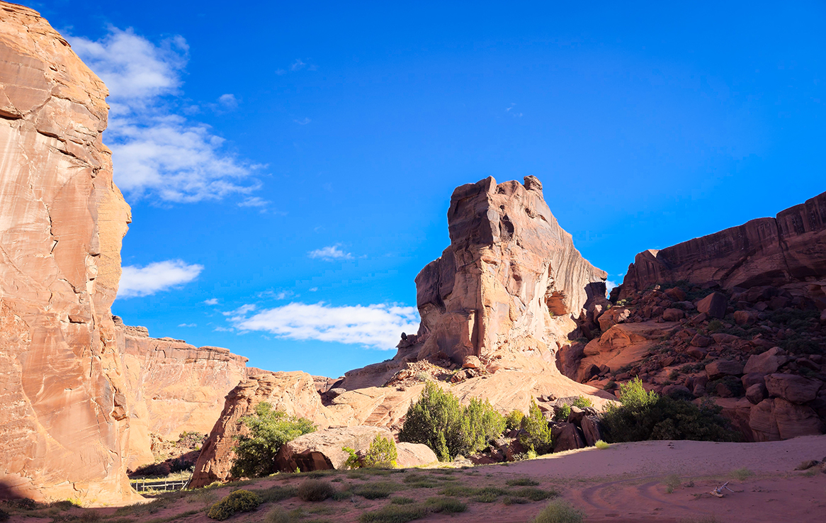 Canyon de Chelly (Canyon del Muerto)