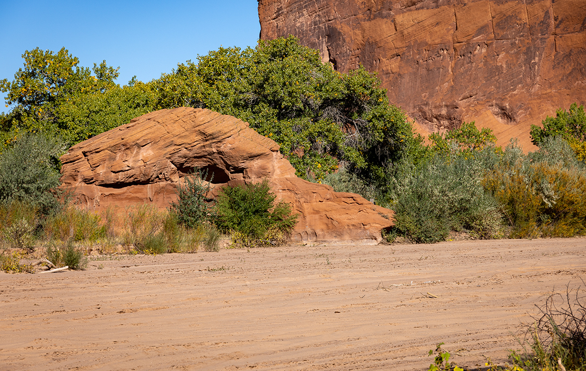 Canyon de Chelly (Canyon del Muerto)