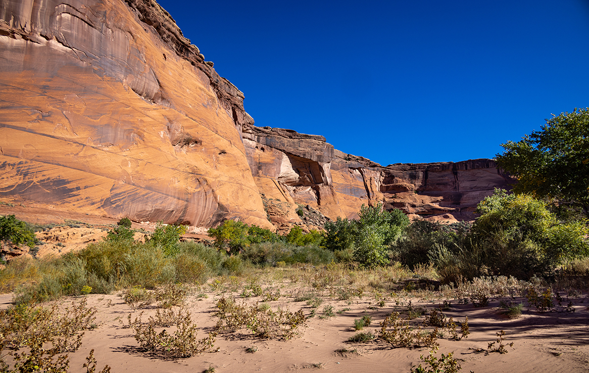 Canyon de Chelly (Canyon del Muerto)