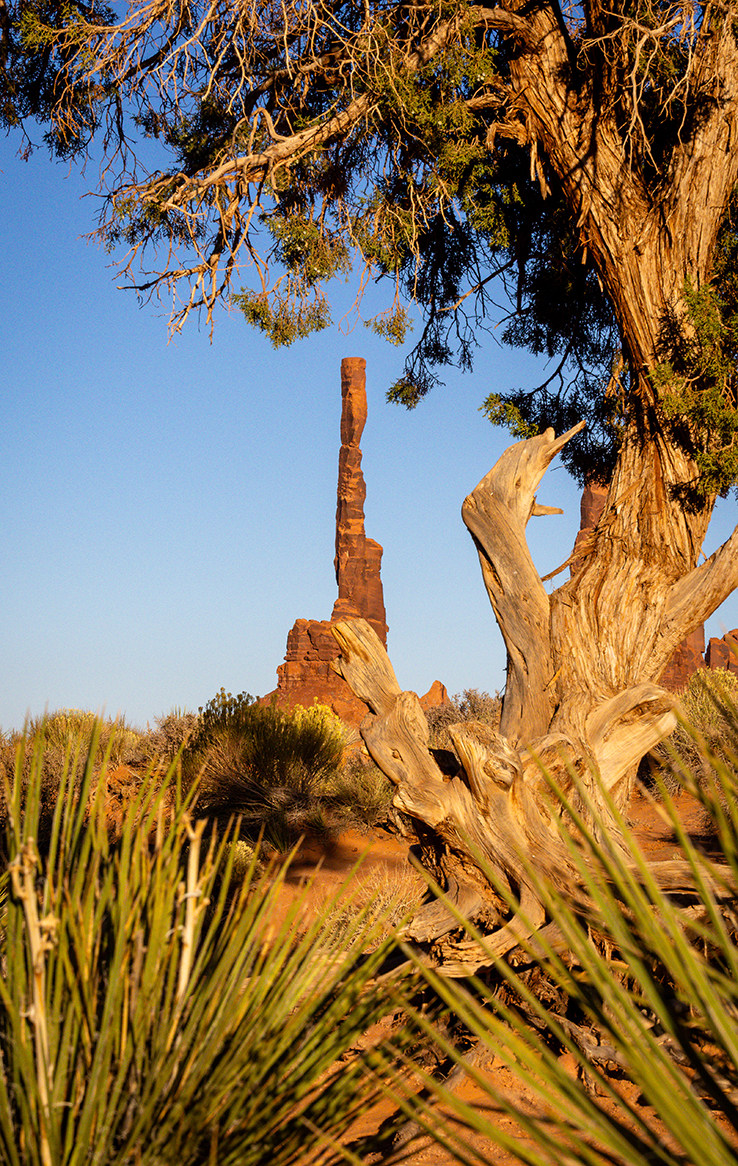 Monument Valley Tribal Park