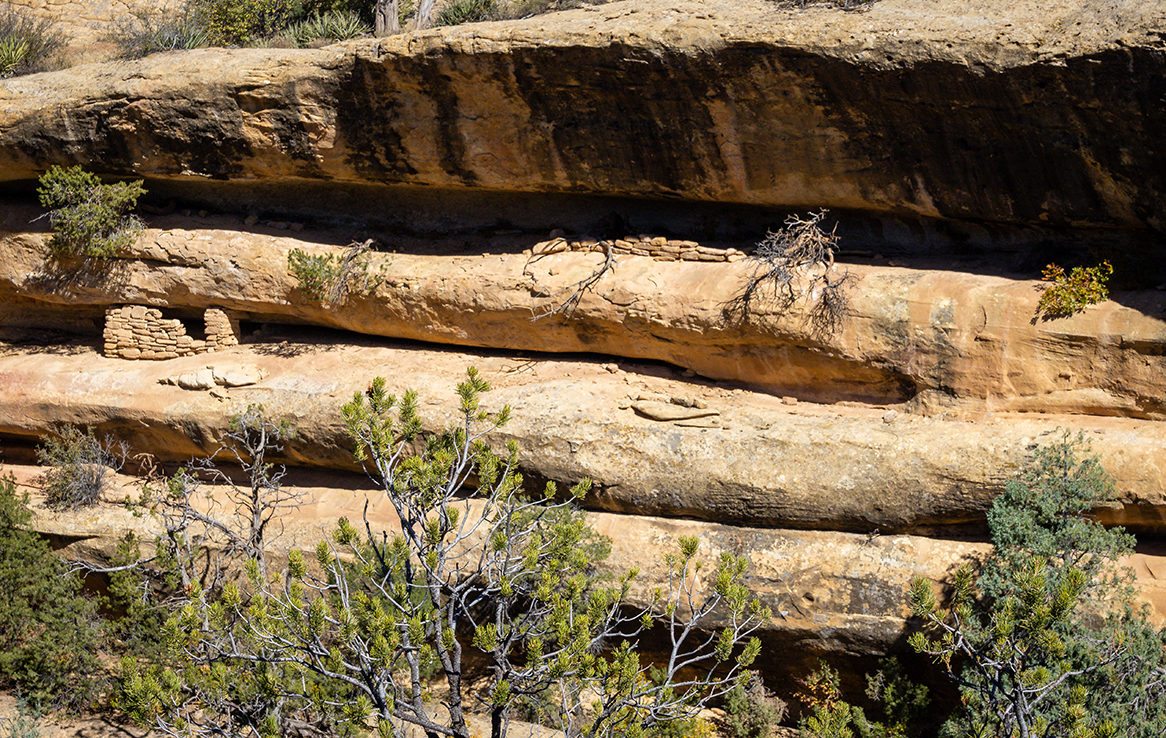 Mesa Verde National Park