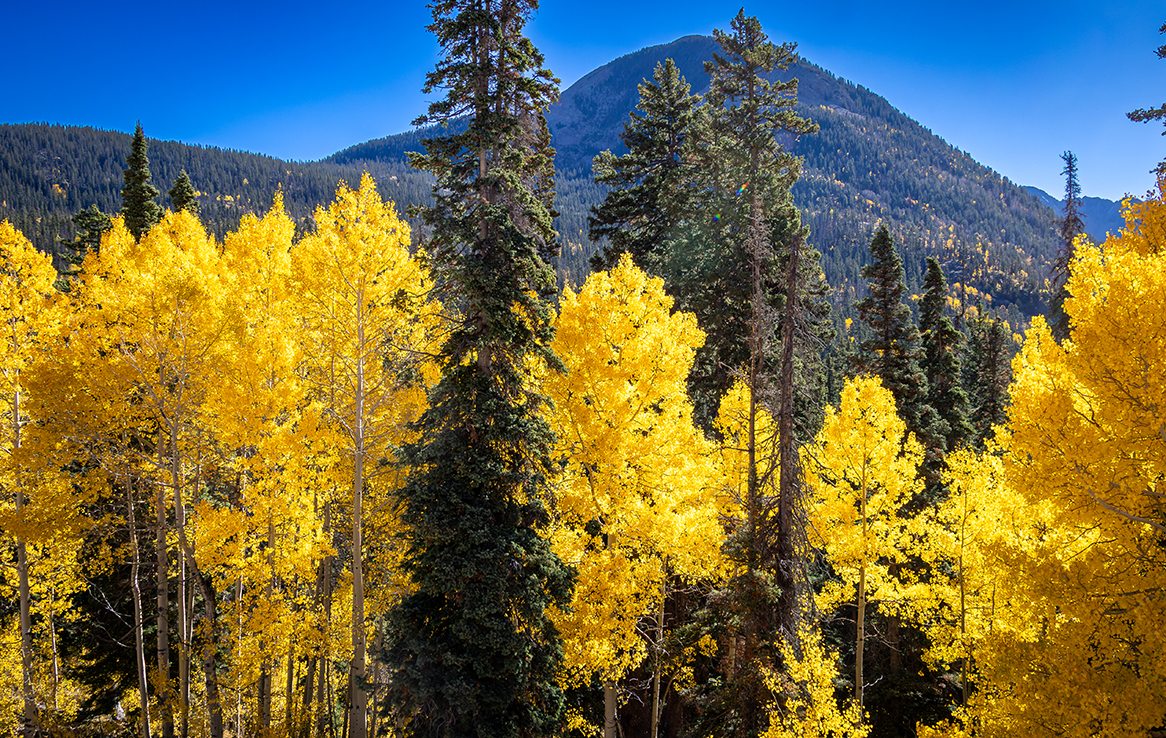 Von Durango nach Silverton