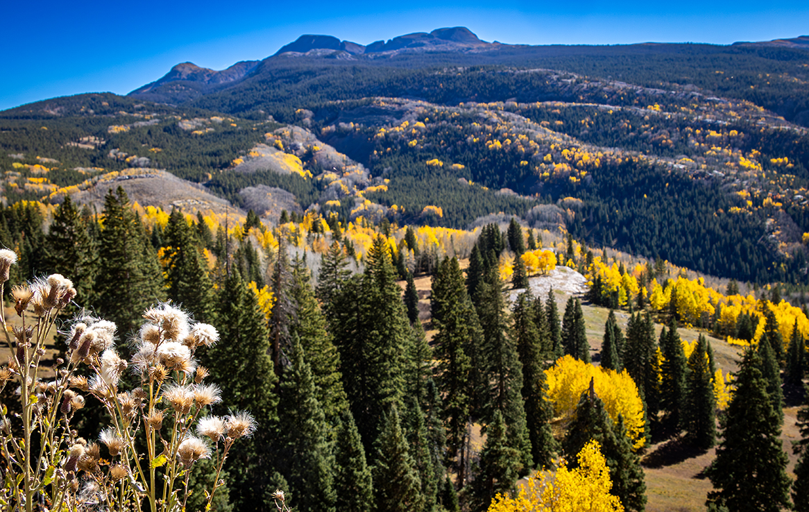 Von Durango nach Silverton