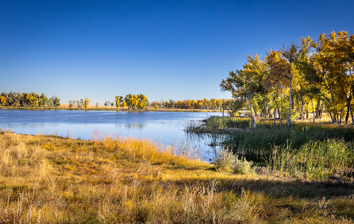 Rocky Mountain Arsenal National Wildlife Refuge