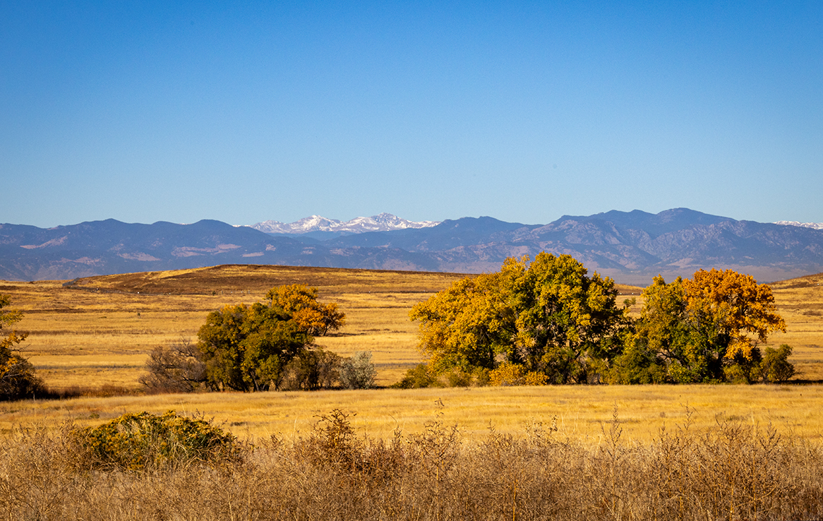 Rocky Mountain Arsenal National Wildlife Refuge