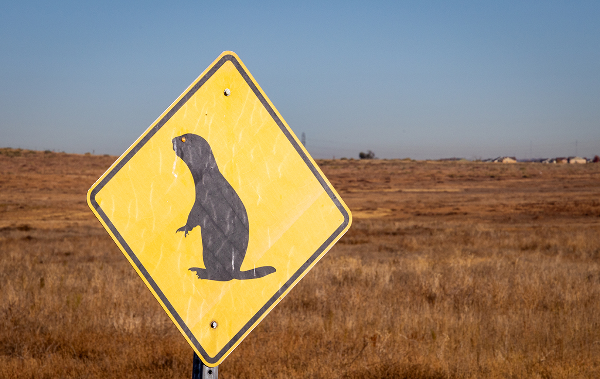 Rocky Mountain Arsenal National Wildlife Refuge