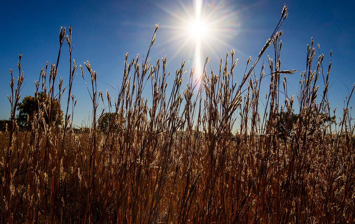 Rocky Mountain Arsenal National Wildlife Refuge