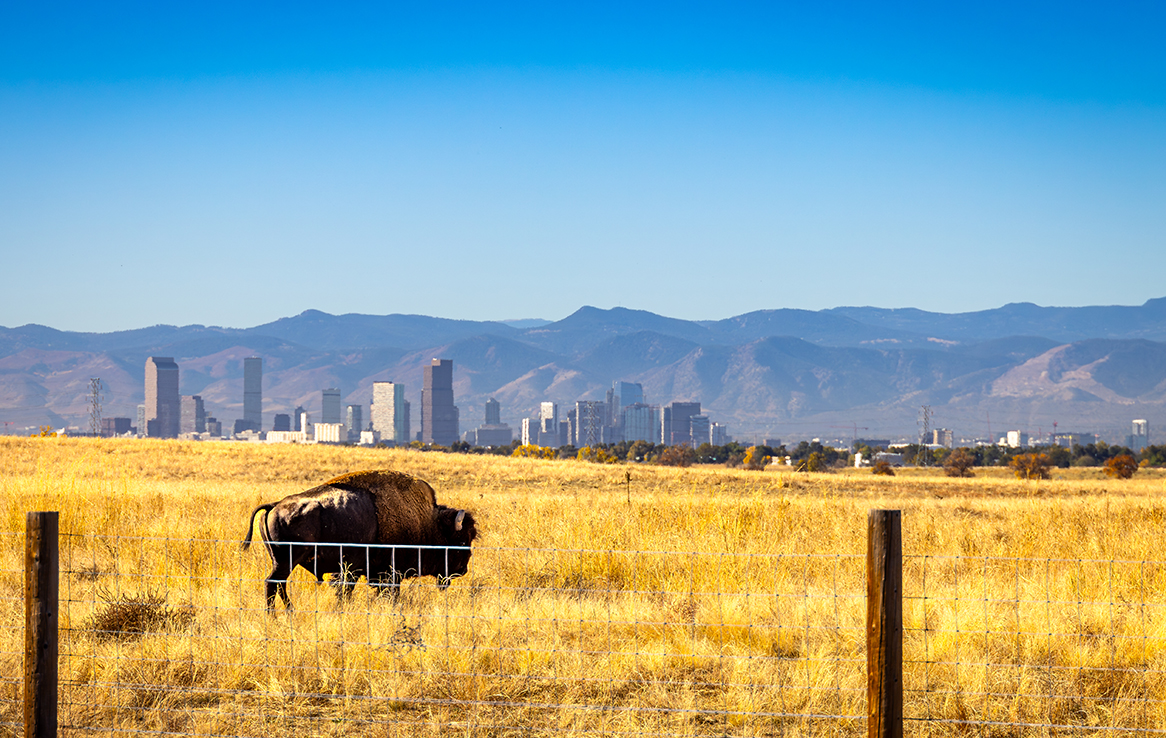 Rocky Mountain Arsenal National Wildlife Refuge