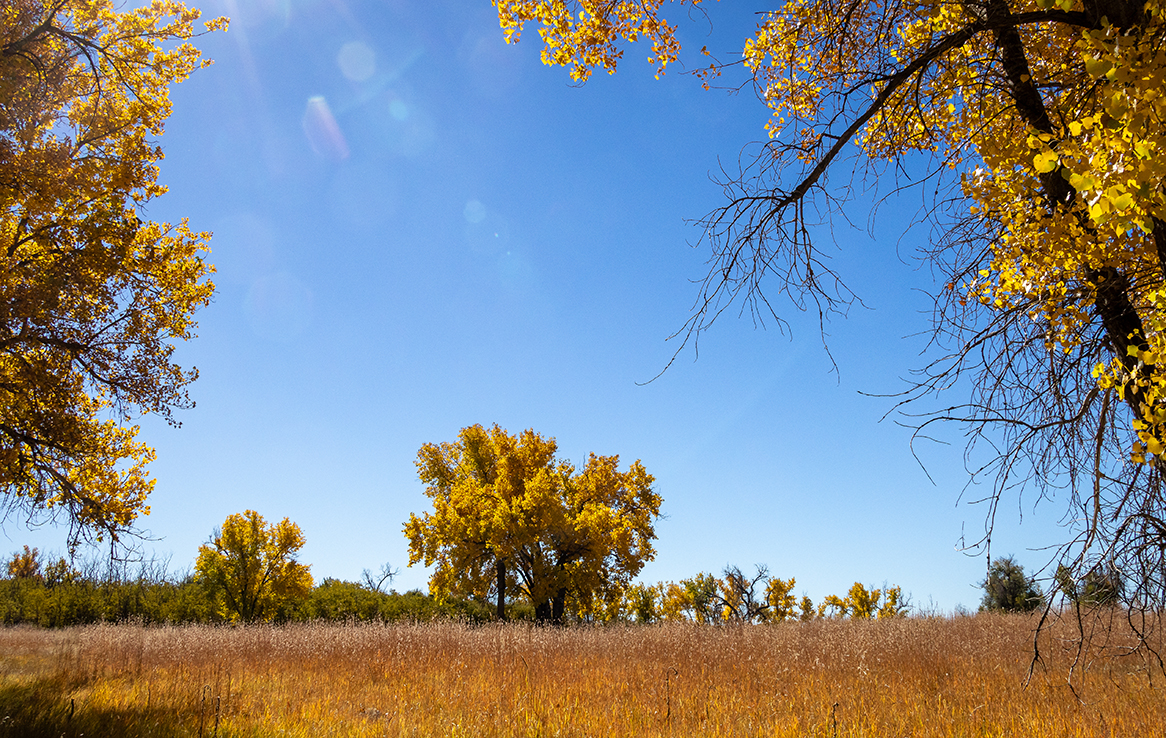 Rocky Mountain Arsenal National Wildlife Refuge