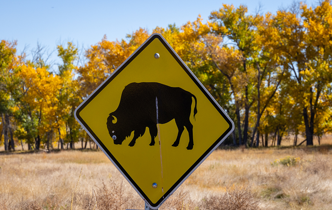 Rocky Mountain Arsenal National Wildlife Refuge