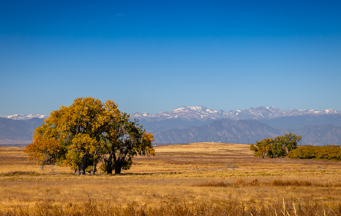Rocky Mountain Arsenal National Wildlife Refuge