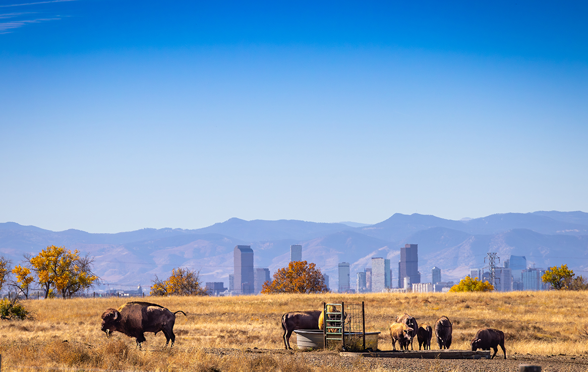 Rocky Mountain Arsenal National Wildlife Refuge