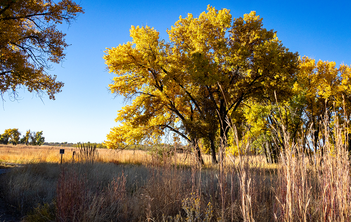 Rocky Mountain Arsenal National Wildlife Refuge