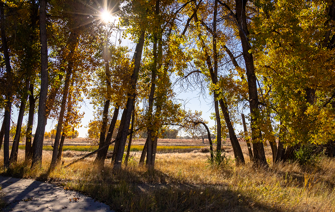 Rocky Mountain Arsenal National Wildlife Refuge