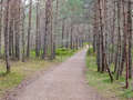 Two Lochs Trail