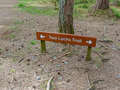 Two Lochs Trail