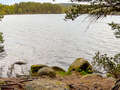 Two Lochs Trail beim Loch Garten