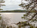 Two Lochs Trail beim Loch Mallachie