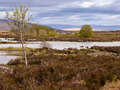 Loch Ba im Rannoch Moor