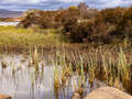 Lochan na h-Achlaise im Rannoch Moor