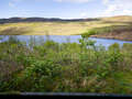 Loch Torr Wildlife Hide
