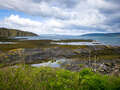 Nature Hide Fishnish