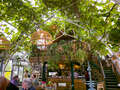 Isle of Mull Cheese and Spirit Farm (Café)