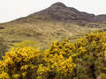 Ben More